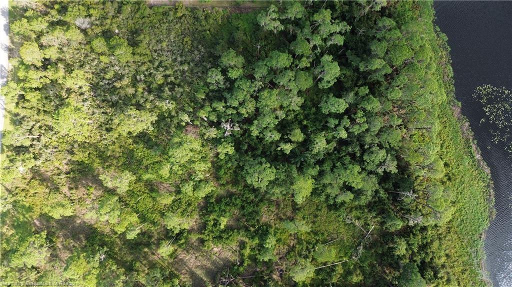 An aerial view shows a wooded lot bordering a body of water with lily pads — 3029 Hawks Landing Circle, Sebring FL 33875, SEBRING, FL