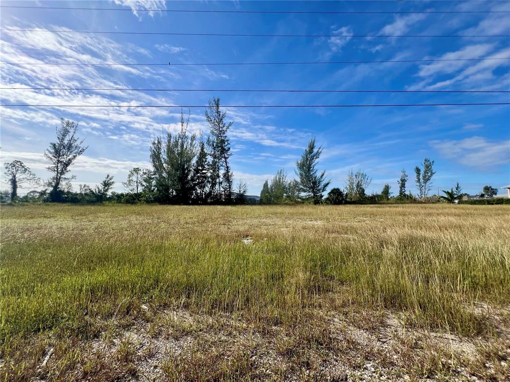 A wide, grassy vacant lot features scattered trees under a bright blue sky — 1408 NE 37TH STREET, CAPE CORAL, FL