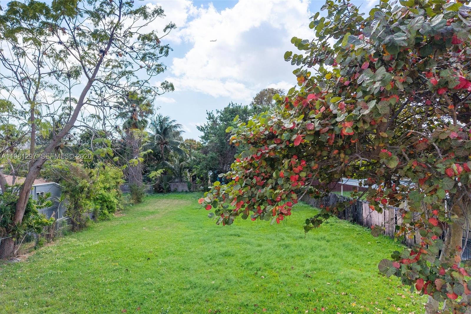 A grassy backyard lot is framed by mature trees and a wooden fence — 1922 NW 33rd St, Miami FL 33142, MIAMI, FL