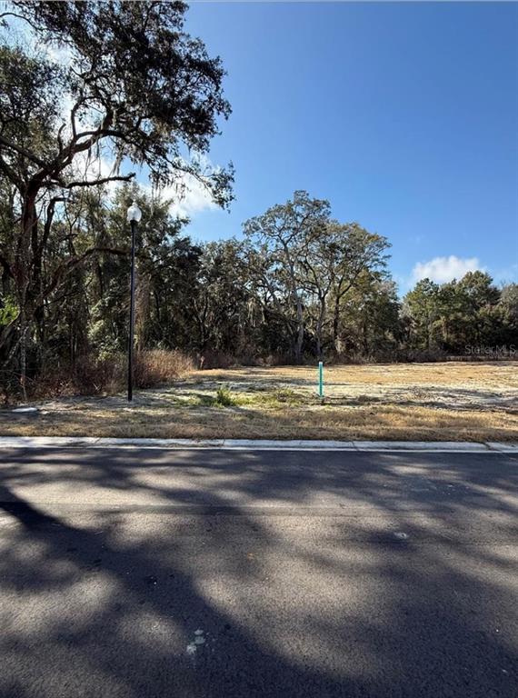 A vacant, grassy residential lot sits behind a paved road under a clear blue sky — 2630 SW 250TH TERRACE, NEWBERRY, FL