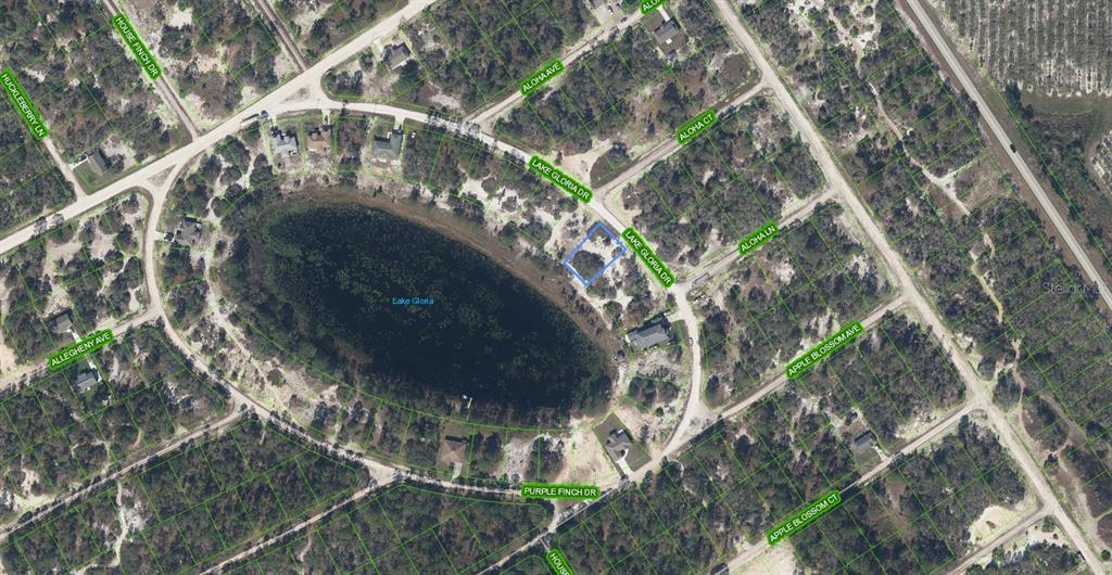 This aerial map shows a vacant residential lot highlighted in blue next to a lake — 454 LAKE GLORIA DRIVE, LAKE PLACID, FL
