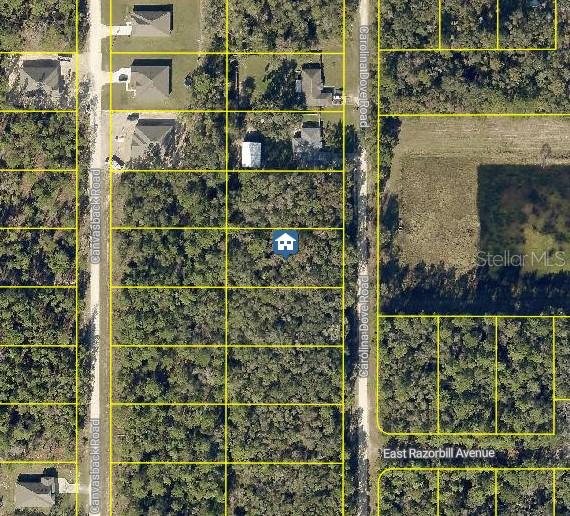 LOT 1021 CAROLINA DOVE ROAD