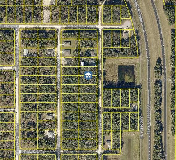 This is an aerial map showing a vacant lot marked with a house icon — LOT 1021 CAROLINA DOVE ROAD, WEEKI WACHEE, FL