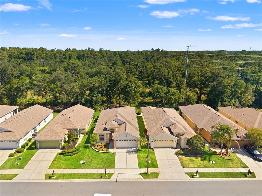 An aerial view shows a row of suburban houses with driveways facing a paved street — 2913 BANYAN HILL LANE, LAND O LAKES, FL