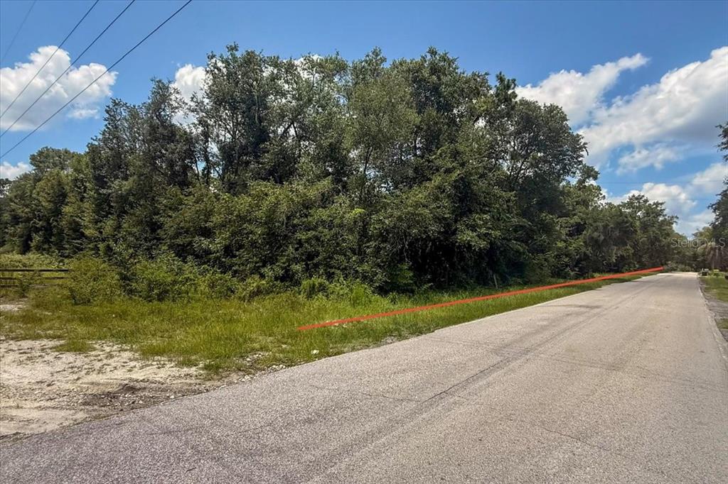 A paved road runs alongside a wooded, undeveloped lot marked by a red line — 2810 LUNDY ROAD, PALATKA, FL