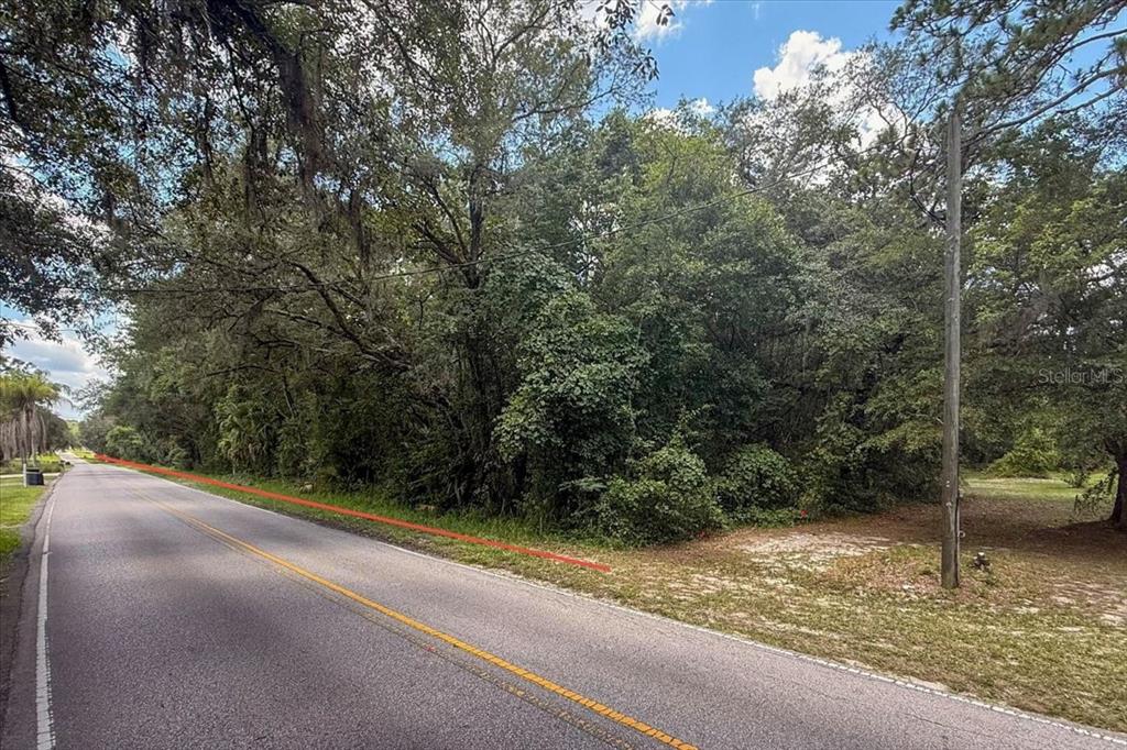 A paved road runs alongside a densely wooded, undeveloped lot with a utility pole — 2810 LUNDY ROAD, PALATKA, FL