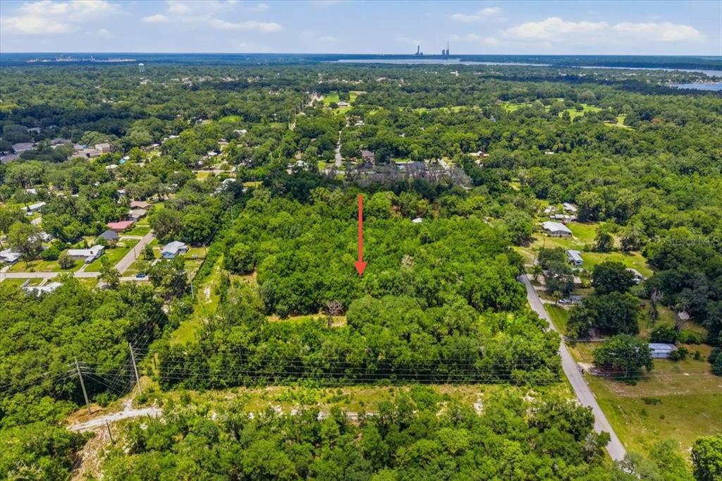 An aerial view shows a wooded, undeveloped rectangular lot marked by a red arrow — 2810 LUNDY ROAD, PALATKA, FL