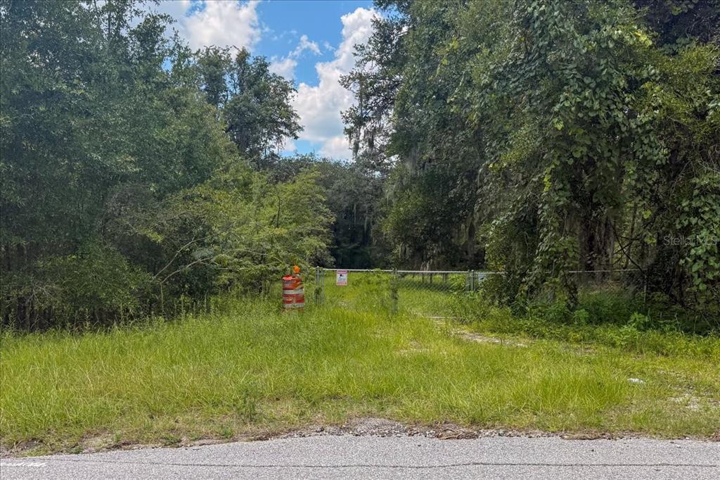 A chain-link fence blocks the entrance to a wooded, overgrown lot from a paved road — 2810 LUNDY ROAD, PALATKA, FL