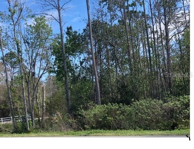 A wooded lot with tall trees and dense undergrowth sits behind a white fence — MT TABOR ROAD, LAKELAND, FL