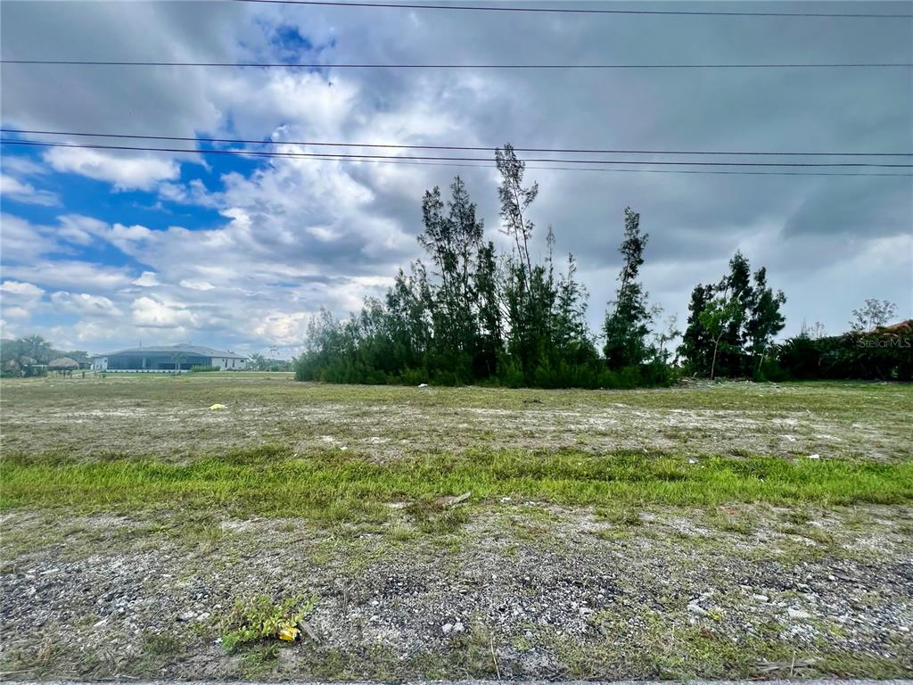 A vacant, grassy lot features a cluster of tall trees under a cloudy sky — 2131 OLD BURNT STORE ROAD N, CAPE CORAL, FL