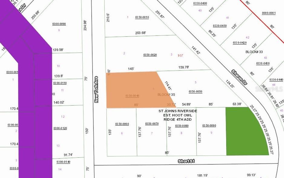 This is a property tax map showing parcel lot lines and street names — 120 NEW YORK AVENUE, SATSUMA, FL
