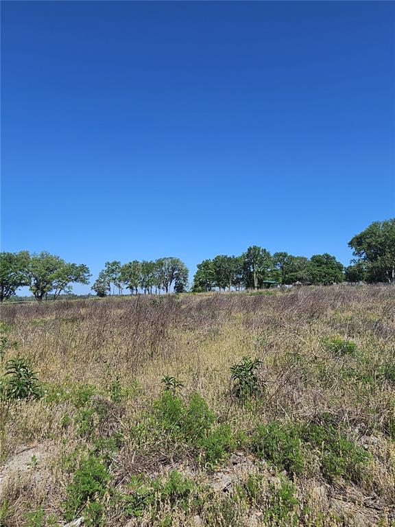 A large, grassy, undeveloped field sits under a clear blue sky with distant trees — 000 SW MIXSON ROAD, LAKE CITY, FL