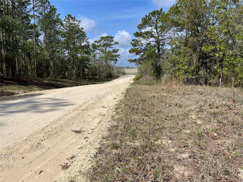 Lot 6 SE 2 STREET, WILLISTON, FL — photo 5 of 5