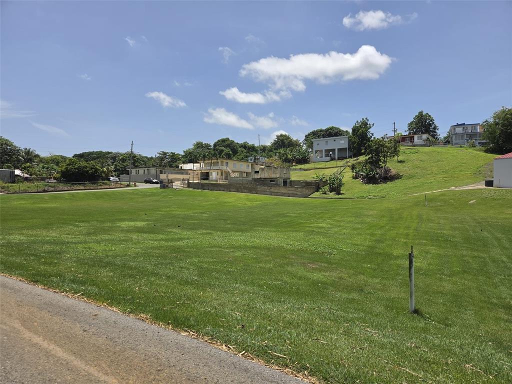 A large, grassy, sloped lot sits next to a paved road with houses in the background — Carr. 2, Km. 121.8 BO. CAIMITAL ALTO, AGUADILLA, PR
