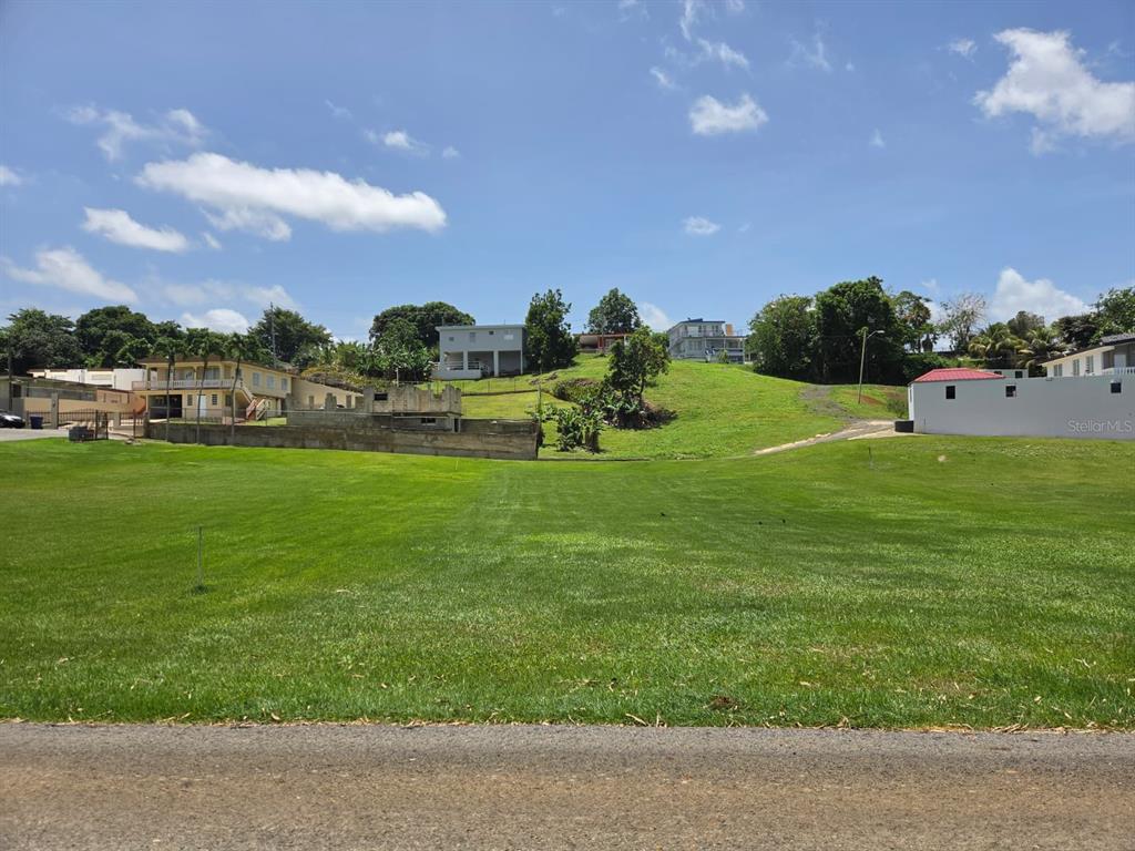 A large, grassy vacant lot sits in front of several houses on a hillside — Carr. 2, Km. 121.8 BO. CAIMITAL ALTO, AGUADILLA, PR