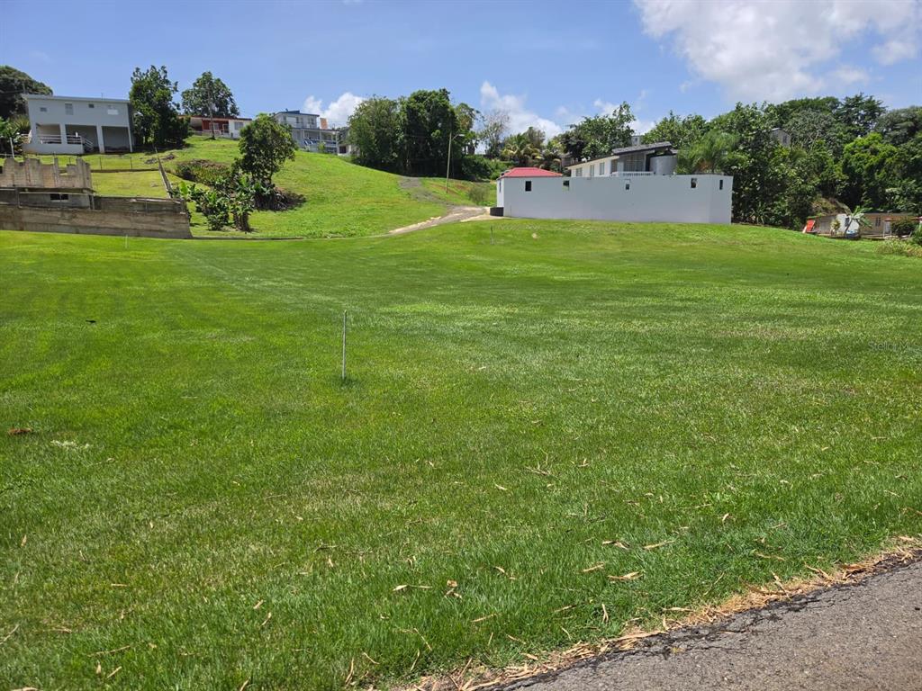 A large, grassy, sloped vacant lot with a white wall and houses in the background — Carr. 2, Km. 121.8 BO. CAIMITAL ALTO, AGUADILLA, PR