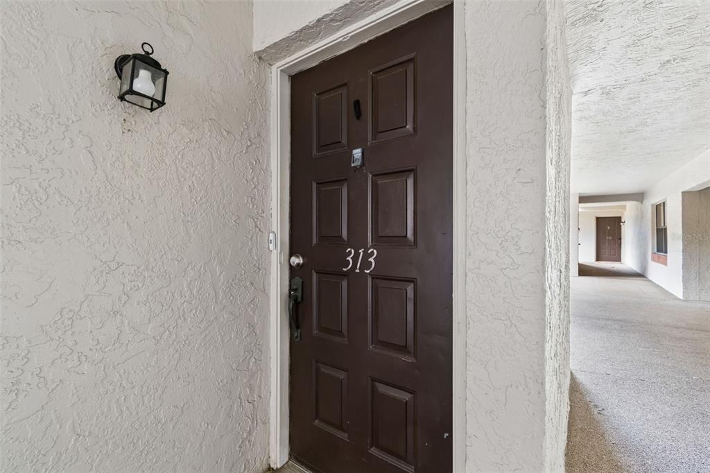 A brown front door with the number 313 is located in a stucco-walled outdoor hallway — 2971 ESTANCIA BOULEVARD UNIT 313, CLEARWATER, FL