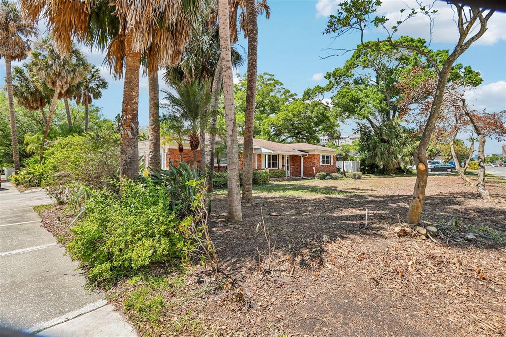 A single-story brick house sits on a lot with palm trees and sparse landscaping — 215 S WEST SHORE BOULEVARD, TAMPA, FL