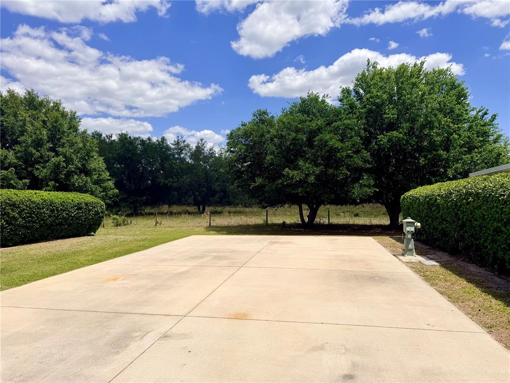 A concrete driveway sits in front of a grassy yard with trees and hedges — 9589 SE 49TH TERRACE, WEBSTER, FL