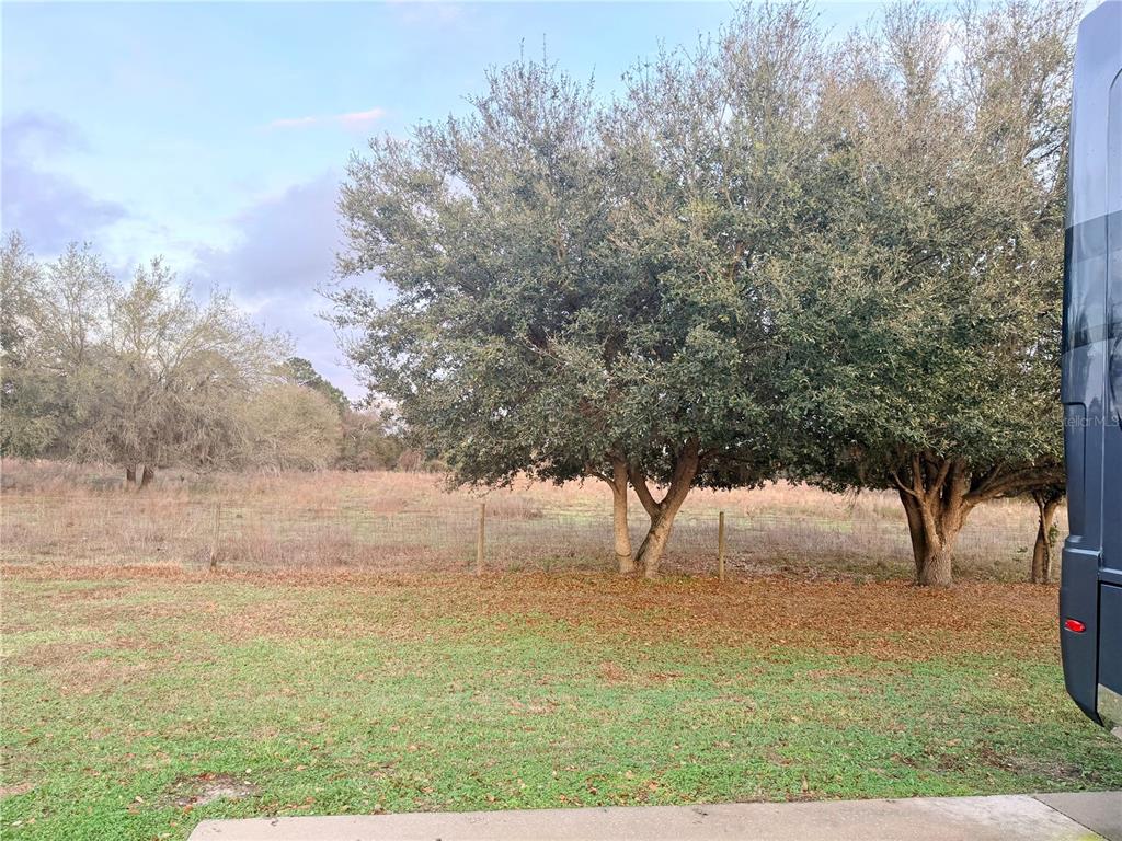 A grassy yard with fallen leaves sits in front of large trees and a fence — 9589 SE 49TH TERRACE, WEBSTER, FL