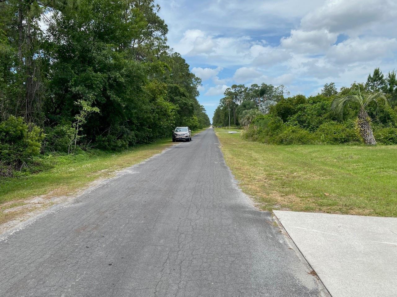 A paved road stretches into the distance between dense trees and grassy lots with a car — 2351 Allamanda Drive, FL 33855, FL