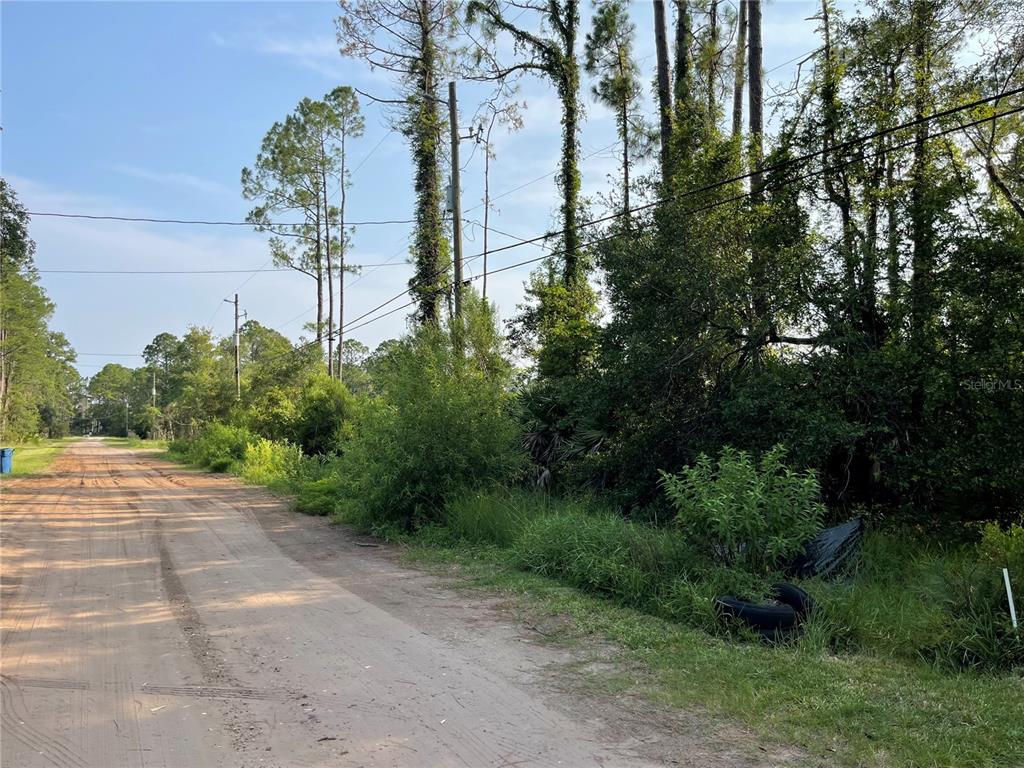 A dirt road runs alongside a wooded lot with power lines and scattered debris — 14004 BRADHAM ROAD, JACKSONVILLE, FL