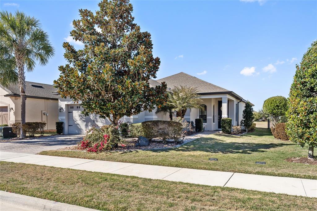 A single-story suburban house with a paved driveway, a large tree, and a manicured lawn — 2639 STARGRASS CIRCLE, CLERMONT, FL