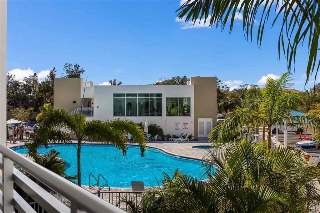 An outdoor swimming pool sits in front of a modern two-story building with large windows — 1703 N TAMIAMI TRAIL UNIT 210, SARASOTA, FL
