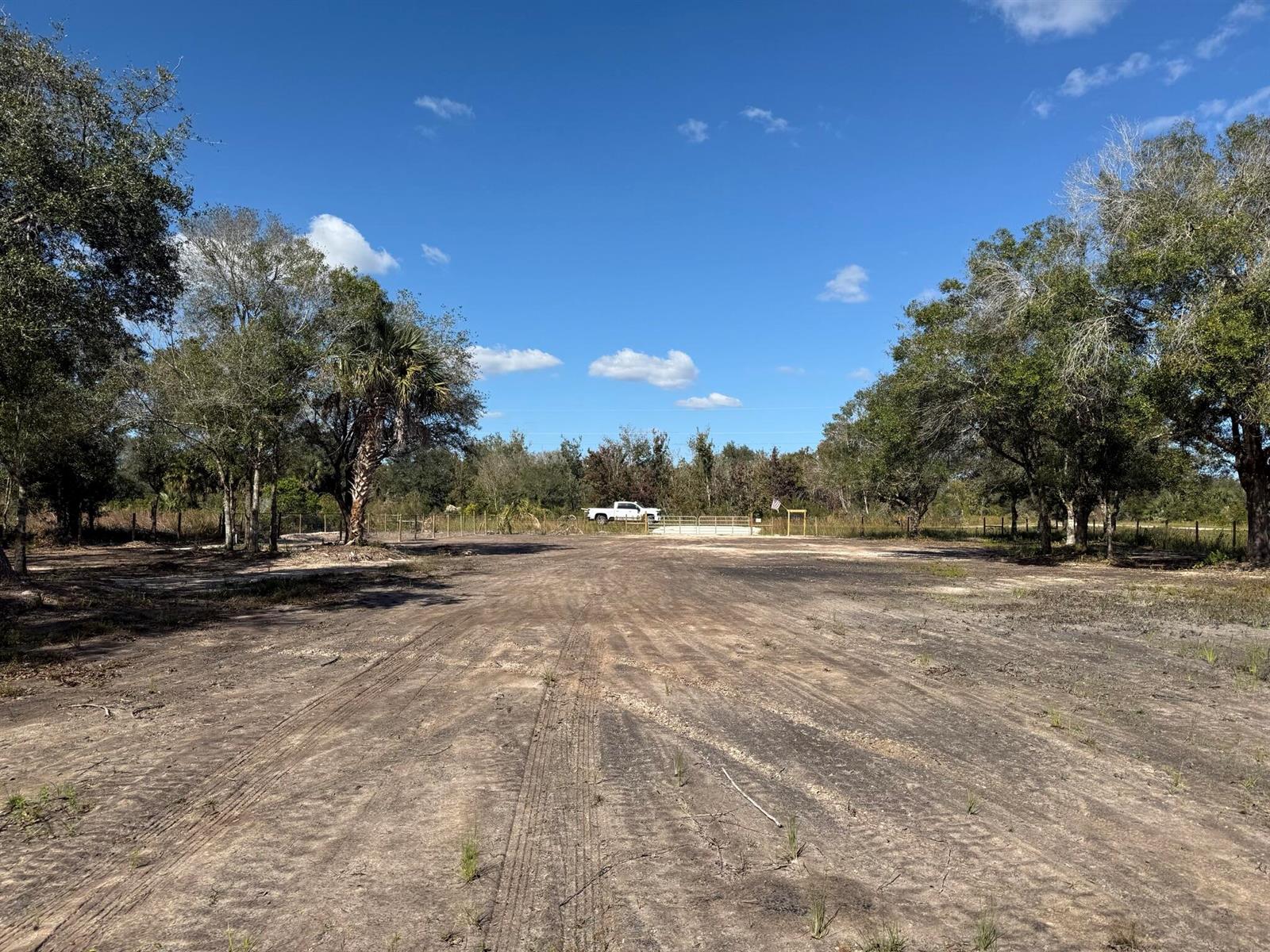 A wide, dirt-covered lot is framed by trees under a clear blue sky — 17618 NW 286th Street, Okeechobee FL 34972, OKEECHOBEE, FL
