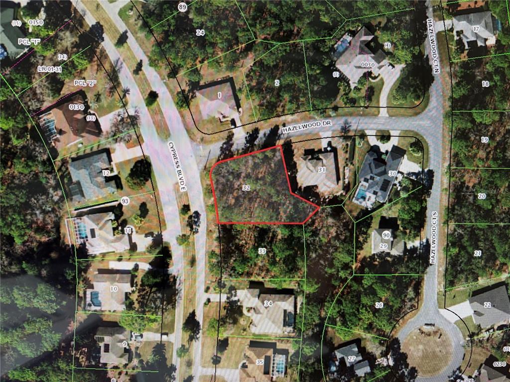 This is a satellite map view showing a vacant residential lot outlined in red — 1 HAZELWOOD DRIVE, HOMOSASSA, FL
