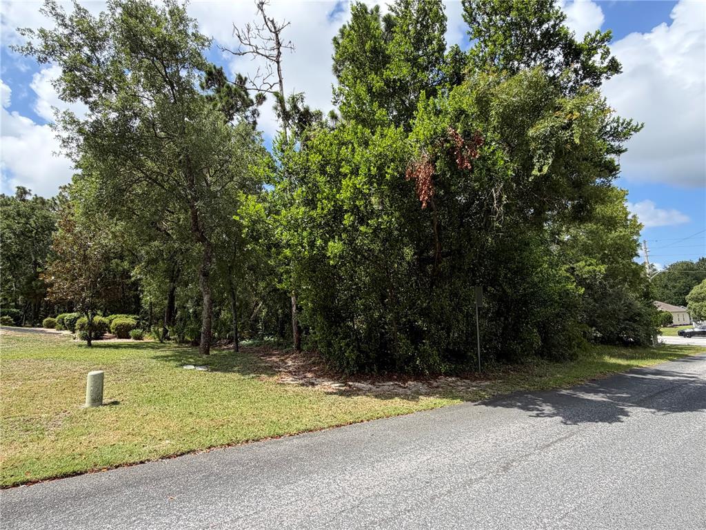 A vacant, wooded residential lot sits beside a paved road under a blue sky — 1 HAZELWOOD DRIVE, HOMOSASSA, FL