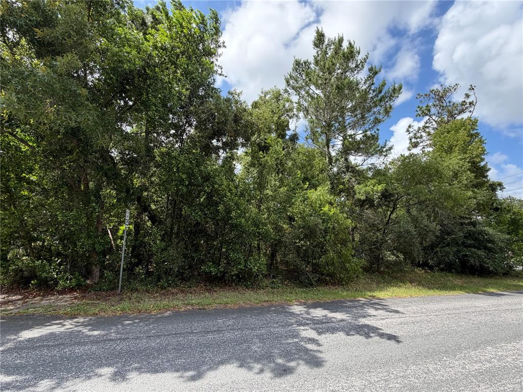 A dense, wooded vacant lot sits alongside a paved asphalt road under a cloudy sky — 1 HAZELWOOD DRIVE, HOMOSASSA, FL