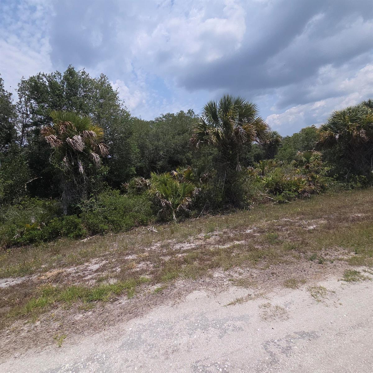 A dirt road leads to a wooded lot with several palm trees under a cloudy sky — 15777 NW 306th Street, Okeechobee FL 34972, OKEECHOBEE, FL