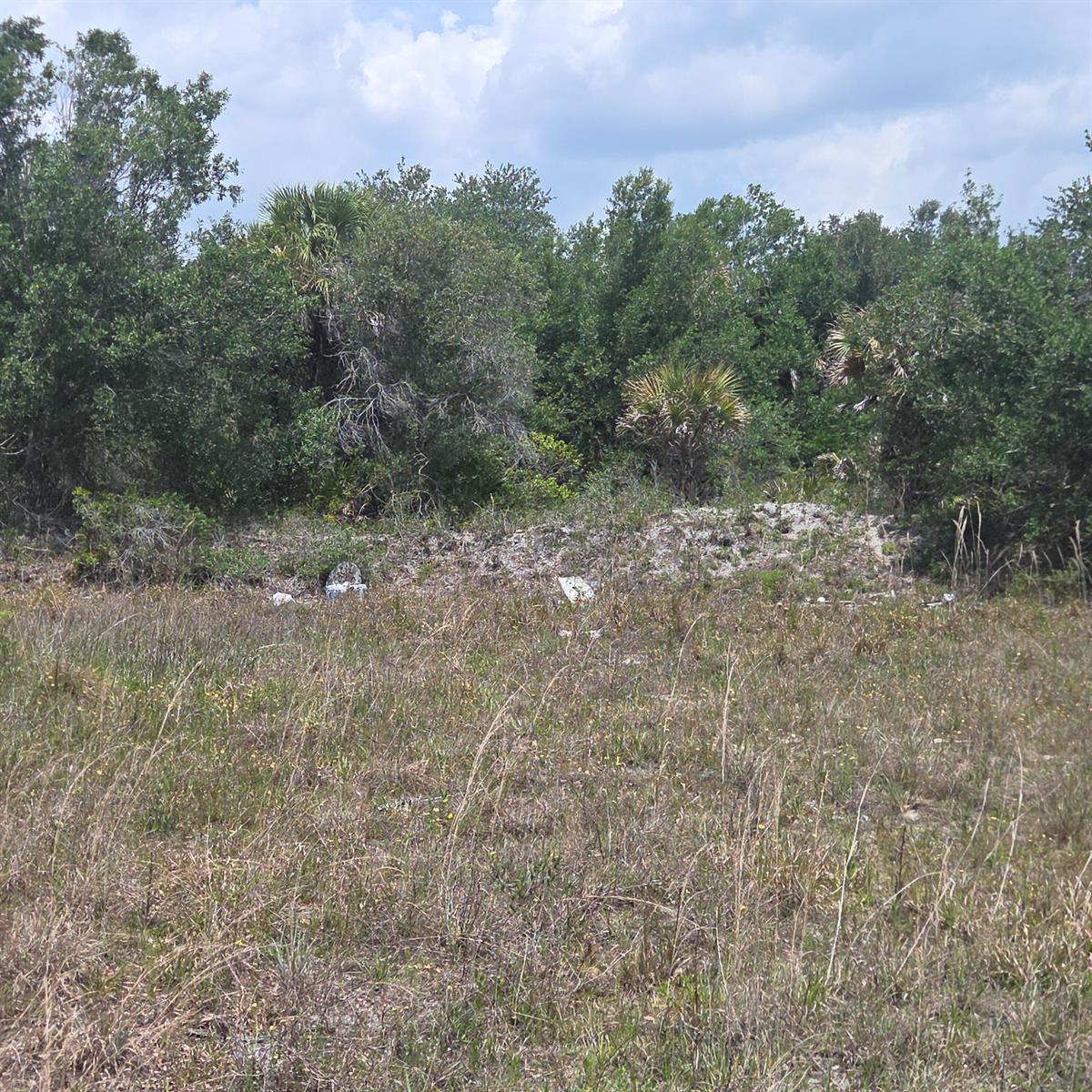 A grassy field leads to a dense treeline with scattered debris in the foreground — 15777 NW 306th Street, Okeechobee FL 34972, OKEECHOBEE, FL
