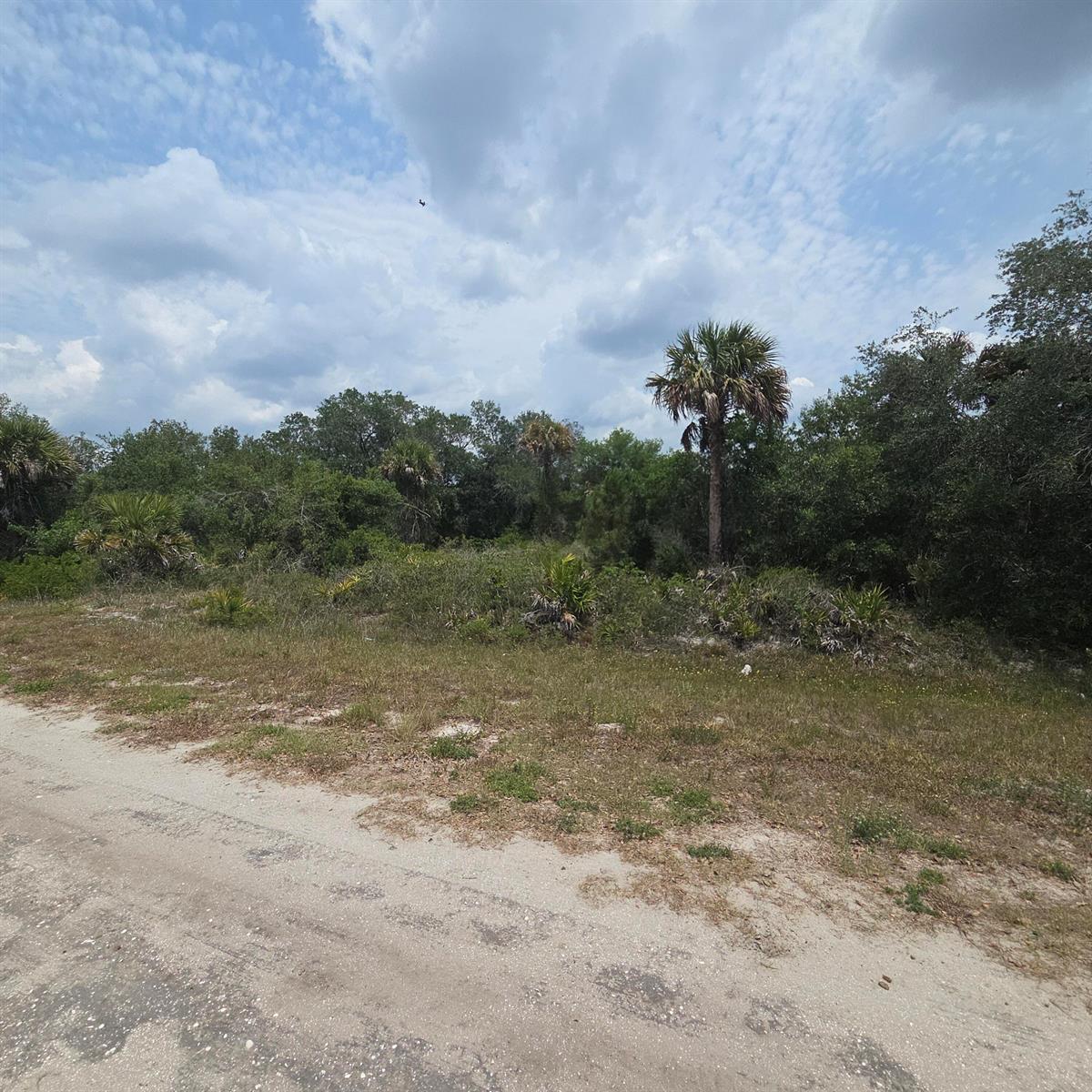 A dirt road leads to a vacant, wooded lot with palm trees under a cloudy sky — 15777 NW 306th Street, Okeechobee FL 34972, OKEECHOBEE, FL