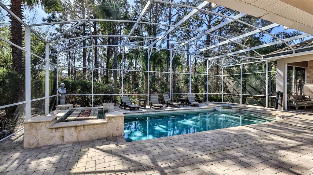 A screened-in patio features a rectangular swimming pool, a spa, and a stone fire pit — 2904 Palma LANE, NEW SMYRNA BEACH, FL