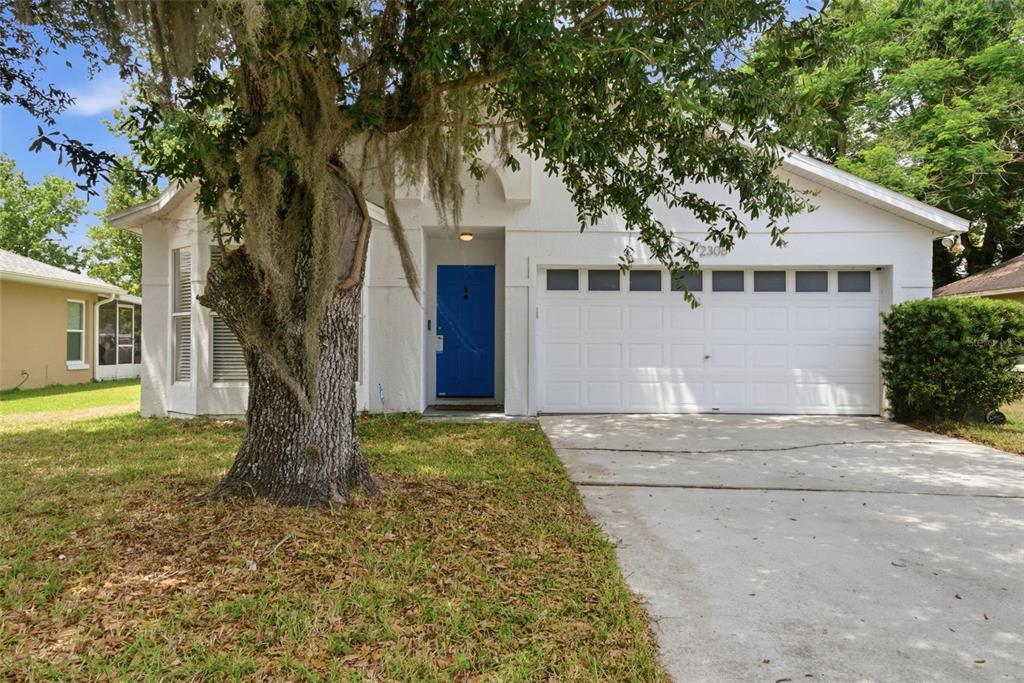 A white single-story house with a blue front door and a two-car garage — 2308 DONEGAN PLACE, ORLANDO, FL