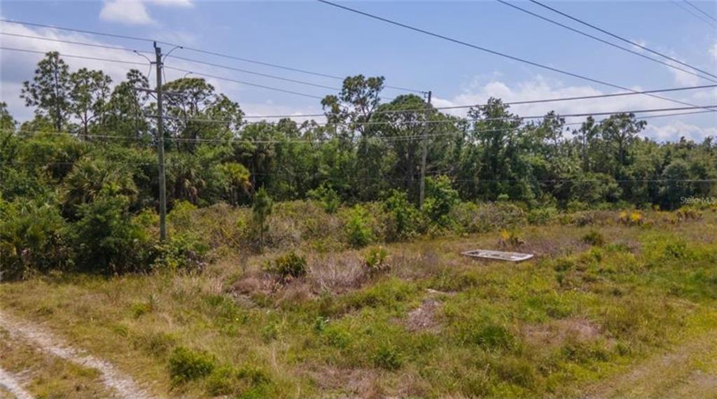 An undeveloped, grassy lot with scattered shrubs and trees under a cloudy sky — 925 INDIAN CREEK LANE, PUNTA GORDA, FL