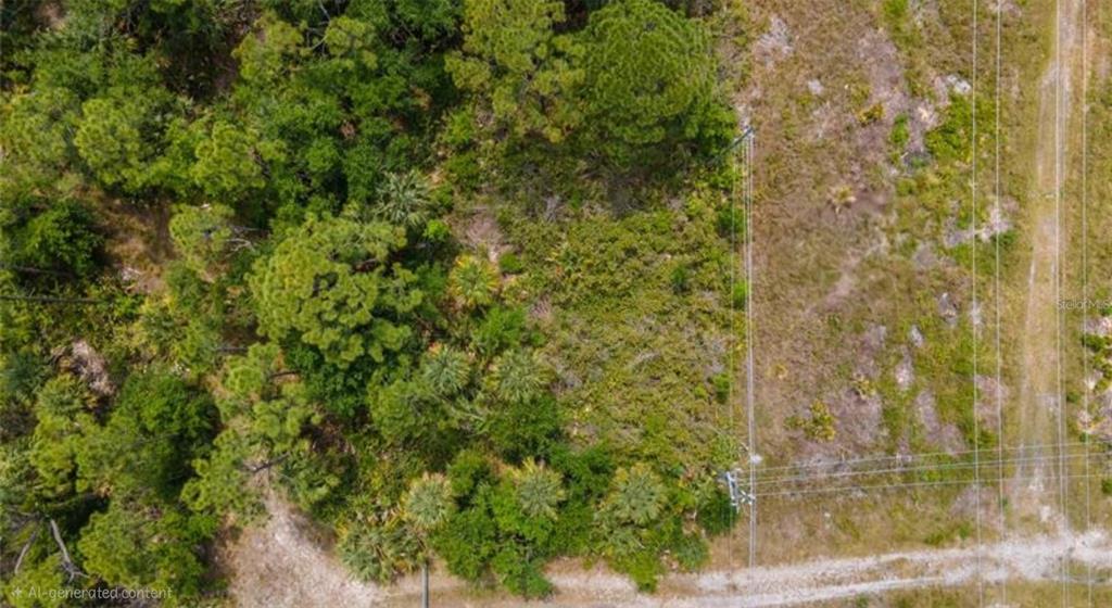 An aerial view shows a wooded lot adjacent to a power line easement and dirt road — 925 INDIAN CREEK LANE, PUNTA GORDA, FL