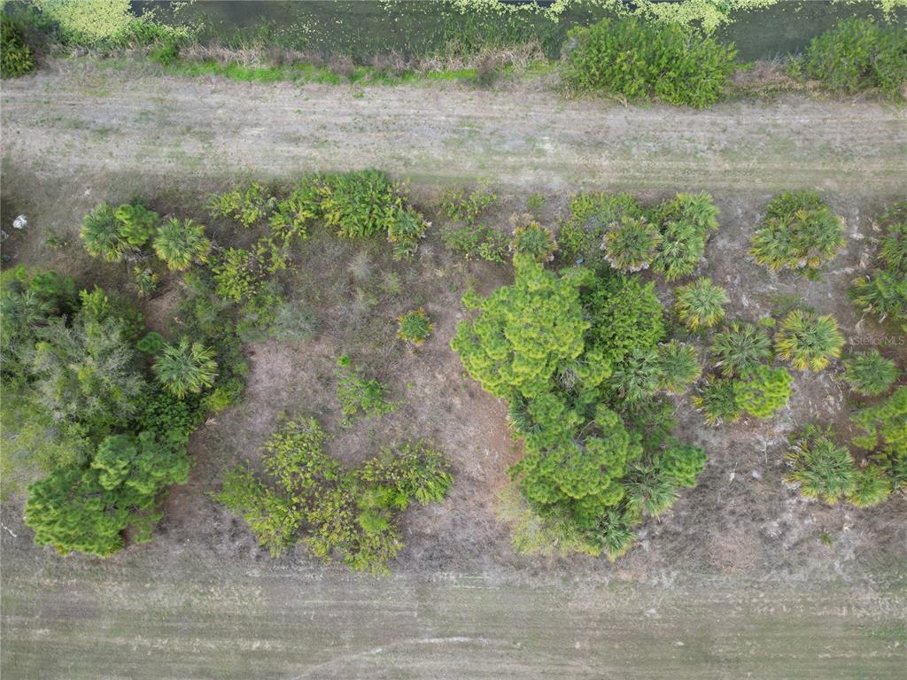 An aerial view shows a wooded lot with scattered trees and shrubs near a canal — S RAINTREE BOULEVARD, NORTH PORT, FL