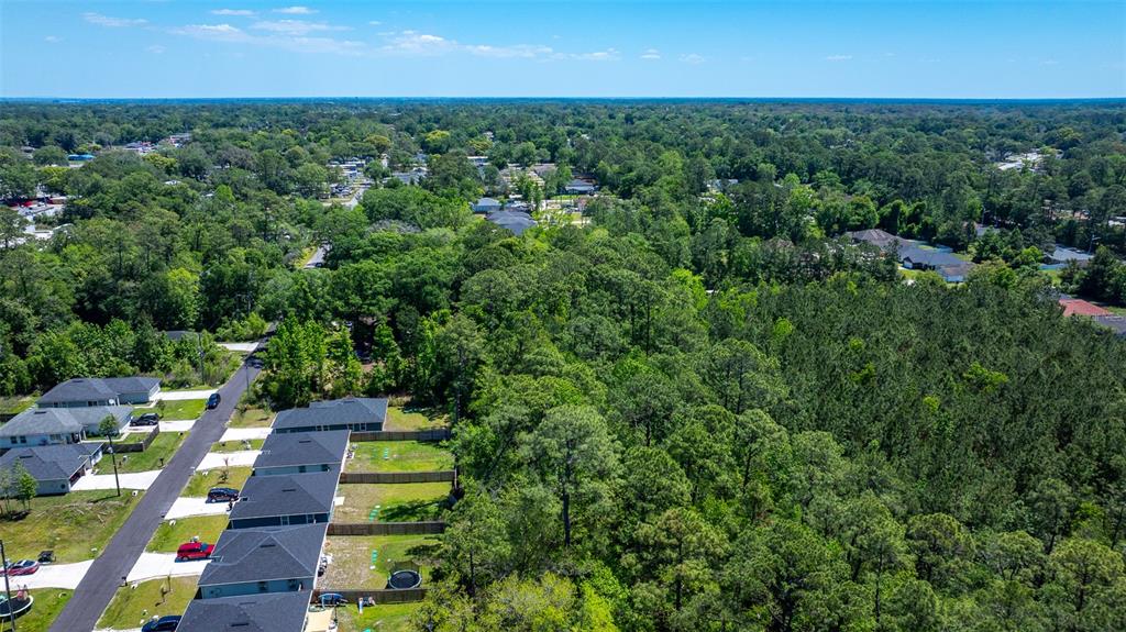 An aerial view shows a row of suburban houses bordering a large, dense forest area — 8523 HEWITT STREET, JACKSONVILLE, FL