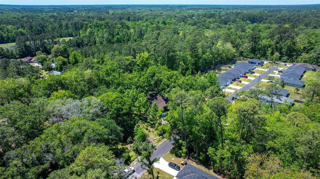 An aerial view shows a house nestled in a dense forest near a suburban neighborhood — 8523 HEWITT STREET, JACKSONVILLE, FL