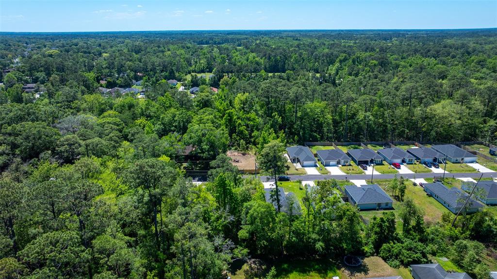 An aerial view shows a residential neighborhood bordered by a dense forest — 8523 HEWITT STREET, JACKSONVILLE, FL
