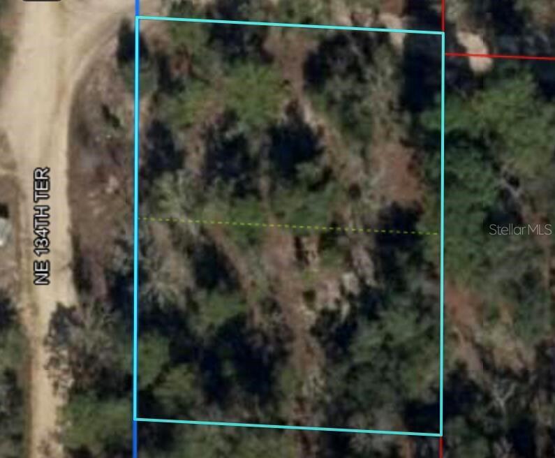 This is an aerial map view of a wooded, rectangular plot of land — 0 NE 134 TERRACE, WILLISTON, FL