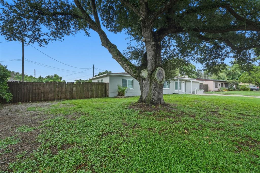 A large tree stands in the grassy front yard of a single-story house — 55 RANDIA DRIVE, ORLANDO, FL