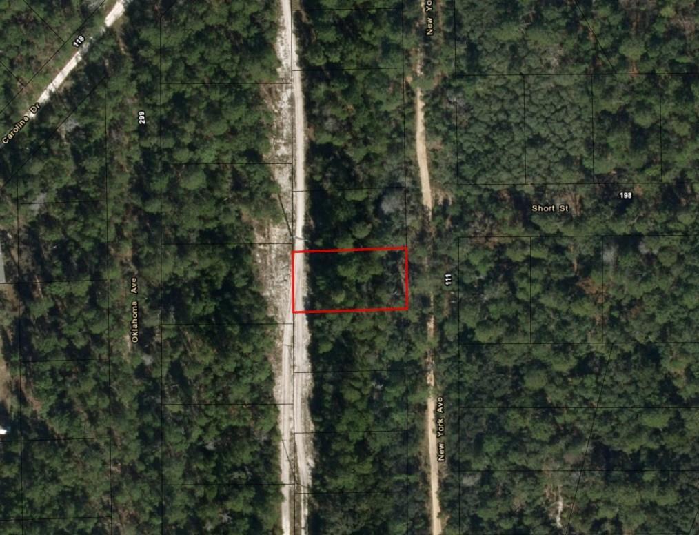 An aerial map view shows a rectangular plot of land outlined in red near roads — 111 New York Avenue, FL 32148, FL