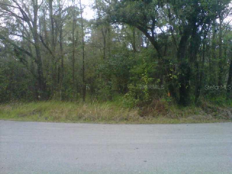 A view of a wooded, undeveloped lot from a paved road — STATE PARK RD, LAKELAND, FL