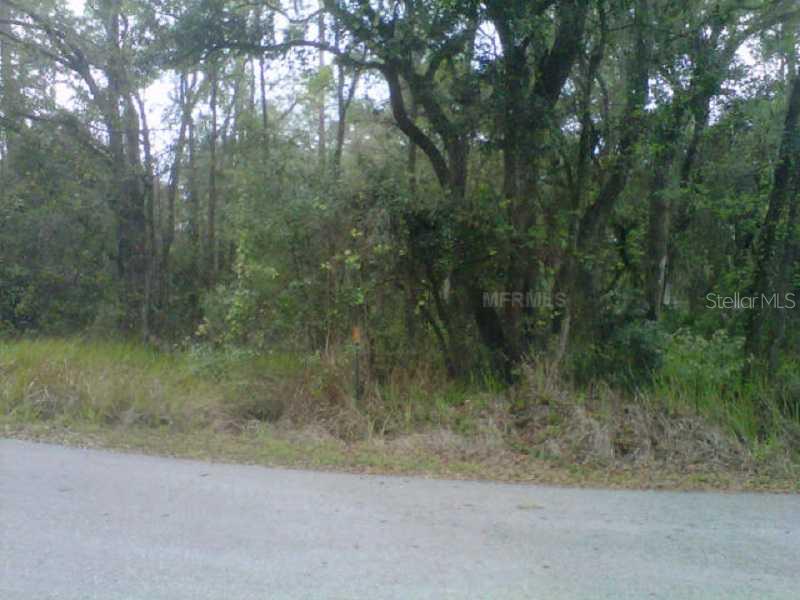 A paved road runs along the front of a wooded, undeveloped lot with dense trees — STATE PARK RD, LAKELAND, FL