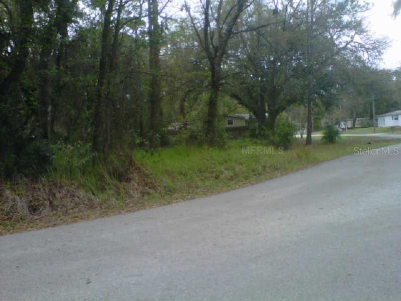 A view of a grassy, wooded vacant lot next to a paved road — STATE PARK RD, LAKELAND, FL