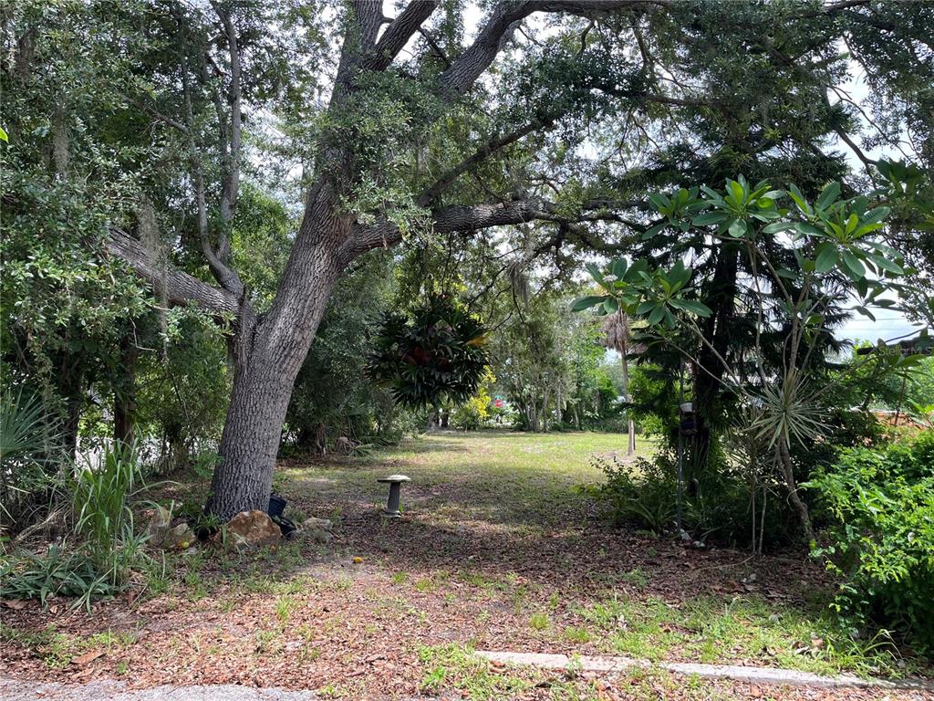 A wooded, grassy vacant lot features large mature trees and a small birdbath — 903 ANDERSON ROAD, NOKOMIS, FL